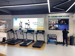 湖南舒泰商貿(mào)有限公司,懷化舒華體育用品,湖南舒華健身器材,懷化舒華健身器材,懷化舒華跑步機(jī)