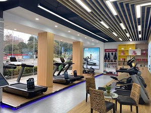 湖南舒泰商貿(mào)有限公司,懷化舒華體育用品,湖南舒華健身器材,懷化舒華健身器材,懷化舒華跑步機(jī)