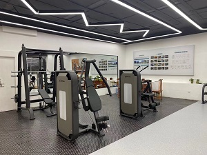 湖南舒泰商貿(mào)有限公司,懷化舒華體育用品,湖南舒華健身器材,懷化舒華健身器材,懷化舒華跑步機(jī)